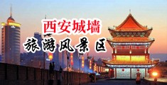 大黒屌操日本人中国陕西-西安城墙旅游风景区